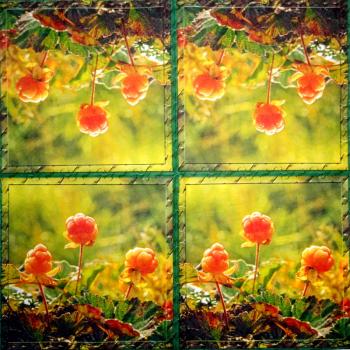 BLS-249 Blumen Sonstige - 3-lagig